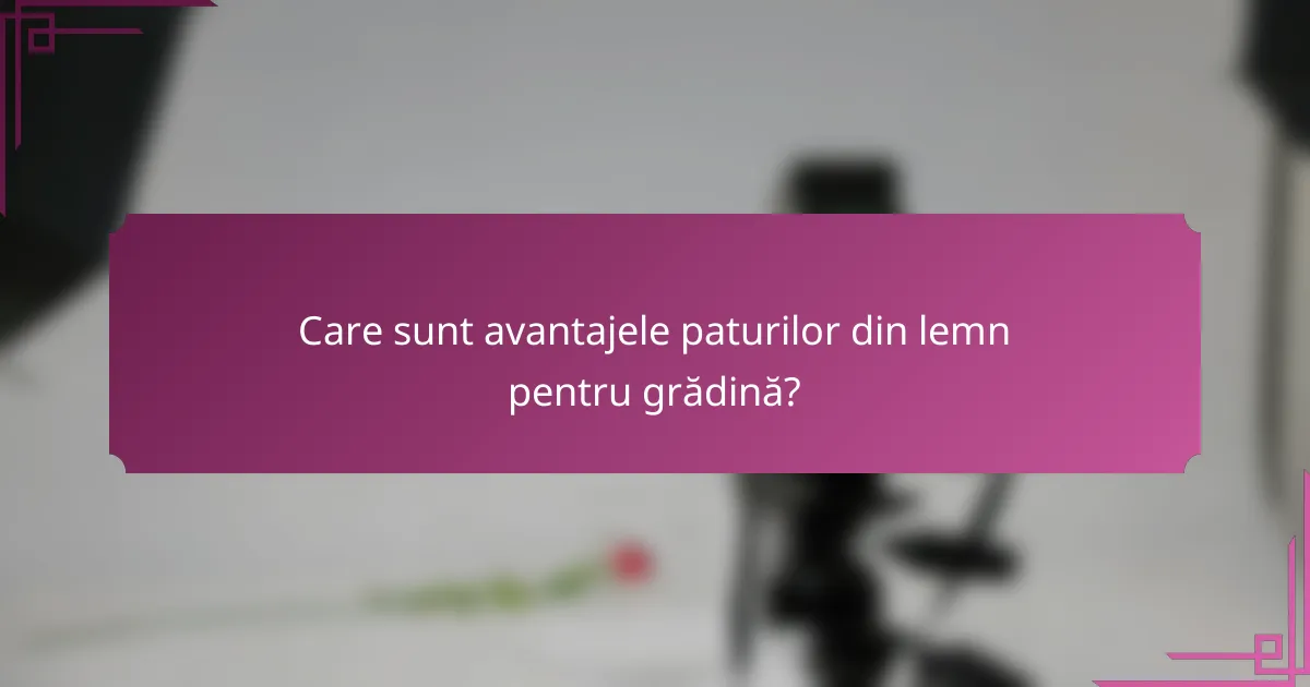 Care sunt avantajele paturilor din lemn pentru grădină?