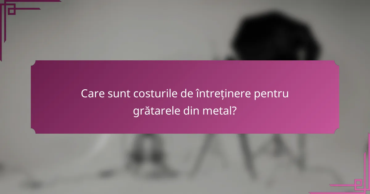 Care sunt costurile de întreținere pentru grătarele din metal?