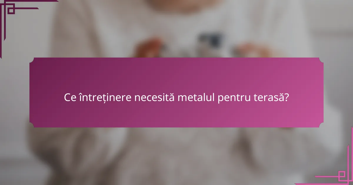 Ce întreținere necesită metalul pentru terasă?