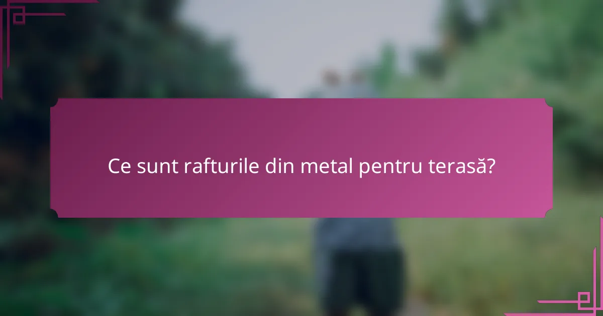 Ce sunt rafturile din metal pentru terasă?