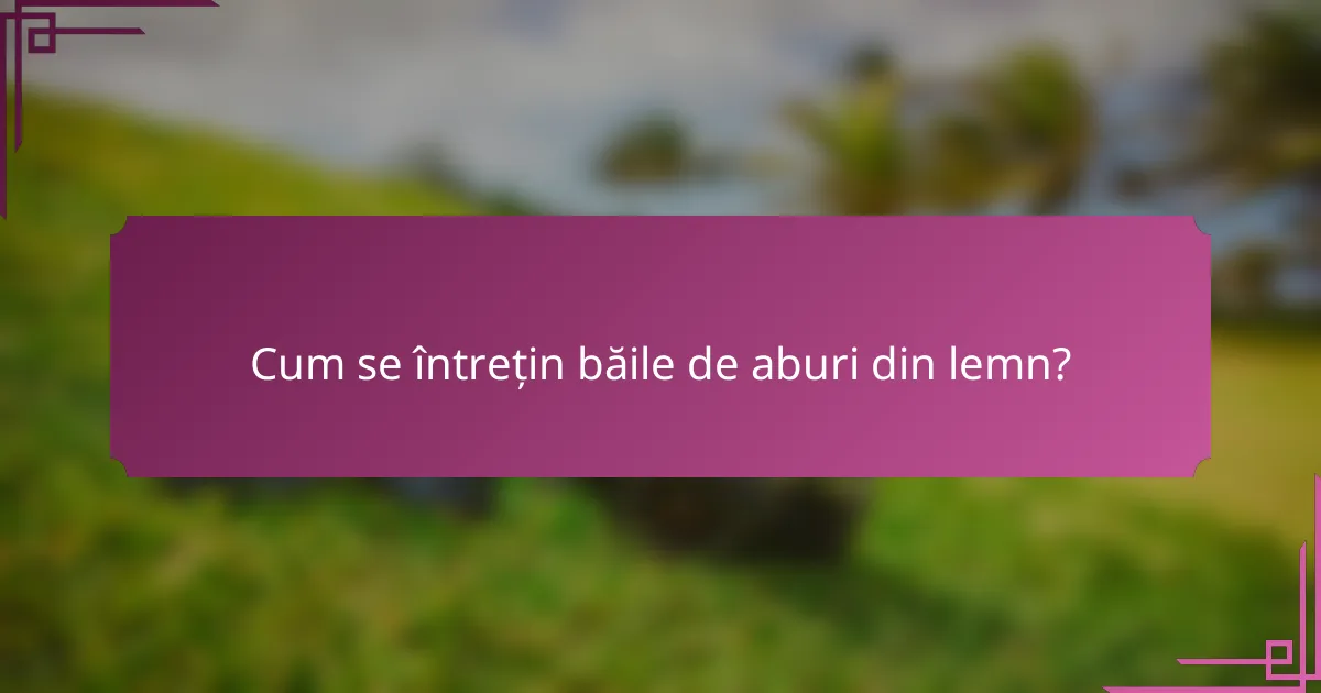 Cum se întrețin băile de aburi din lemn?