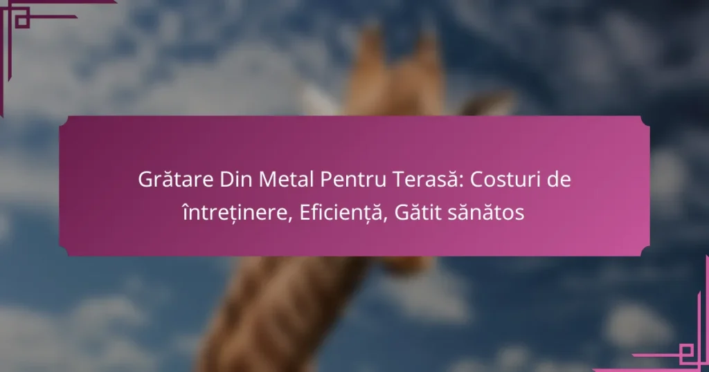 Grătare Din Metal Pentru Terasă: Costuri de întreținere, Eficiență, Gătit sănătos
